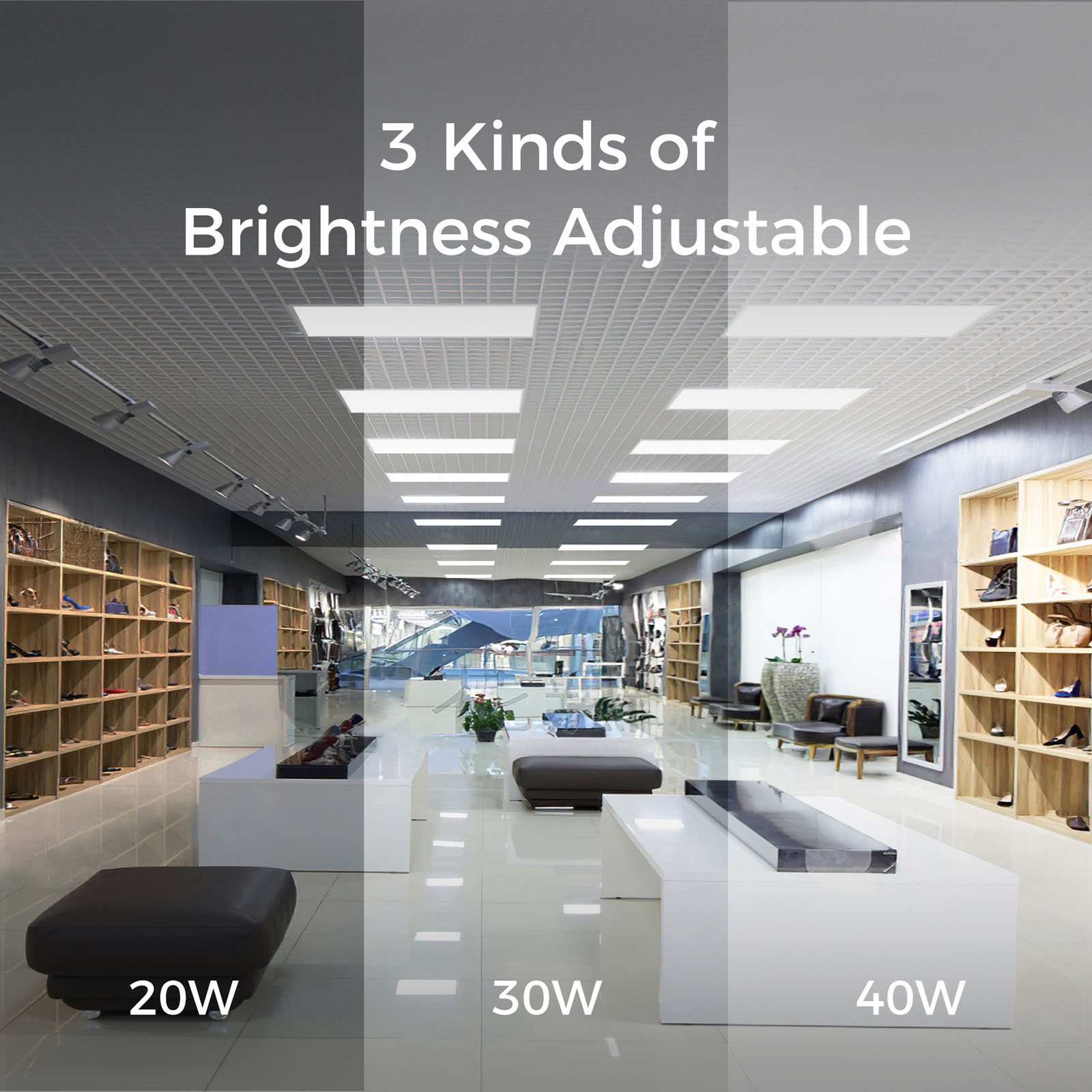 Bulk 2x4 LED Flat Panel Light Manufacturer | OEM Supplier