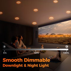 Wholesale 3" LED Recessed Light with Night Light Supplier