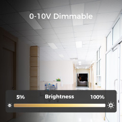 Bulk 2x4 LED Flat Panel Light Manufacturer | OEM Supplier