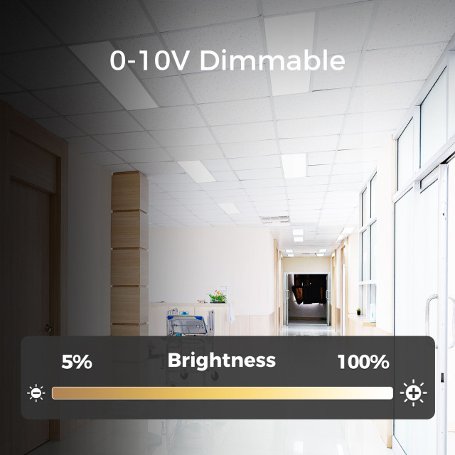 Bulk 2x4 LED Flat Panel Light Manufacturer | OEM Supplier