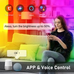 4 Inch Smart LED Recessed Light Manufacturer | RGB WiFi OEM