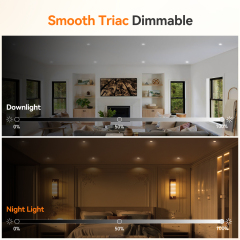 4 Inch LED Recessed Light with Night Light Manufacturer