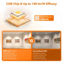 Best 2 Inch Anti Glare COB Recessed LED Spot Light Factory