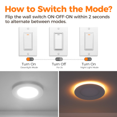 4 Inch LED Recessed Light with Night Light | OEM Factory