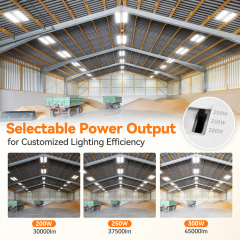 China Linear High Bay LED Light Fixtures Suppliers  | DLC