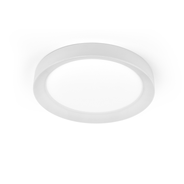 LED Flush Mount Ceiling Light with Night Light & Skylight