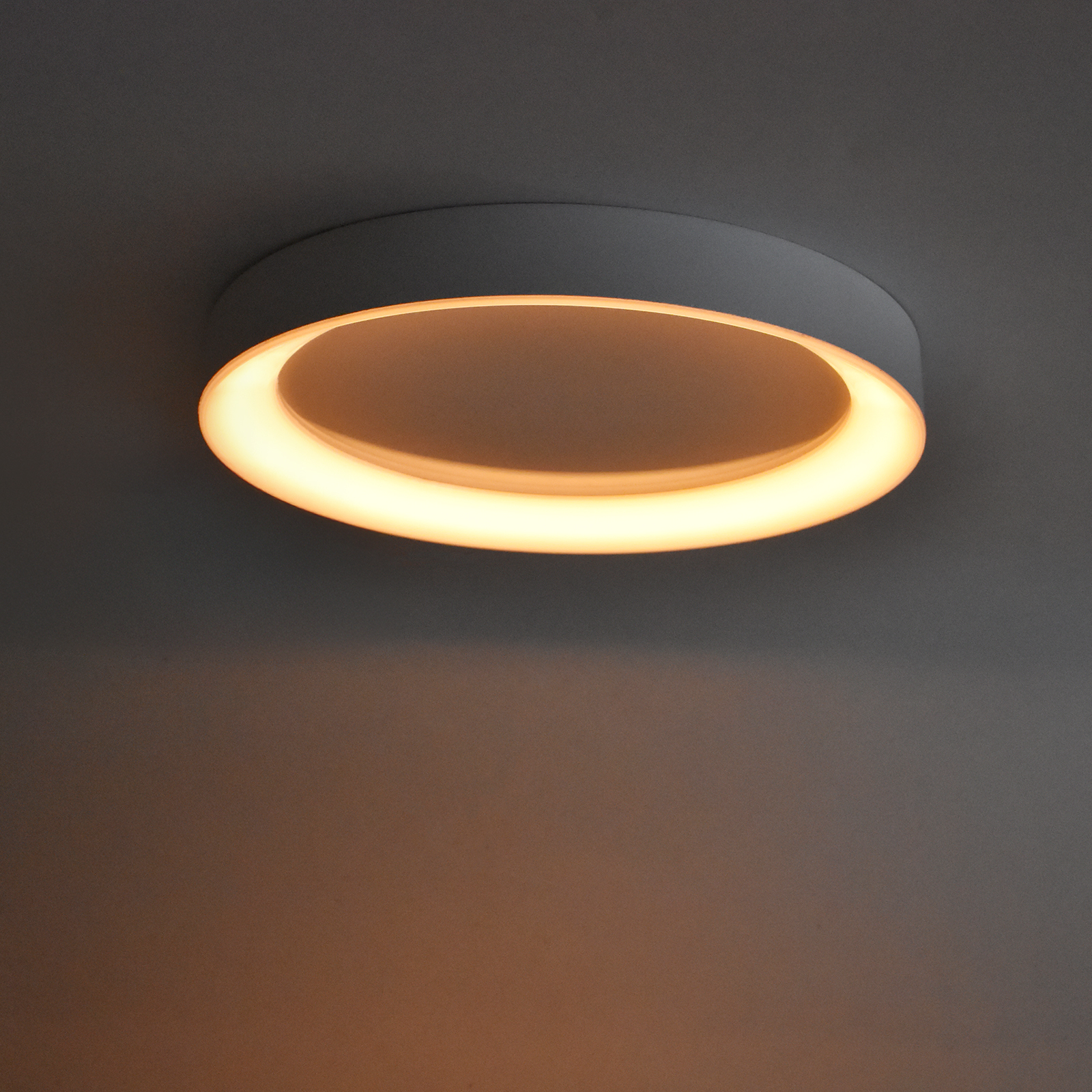 LED Flush Mount Ceiling Light with Night Light & Skylight