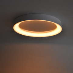LED Flush Mount Ceiling Light with Night Light & Skylight