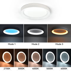 LED Flush Mount Ceiling Light with Night Light & Skylight