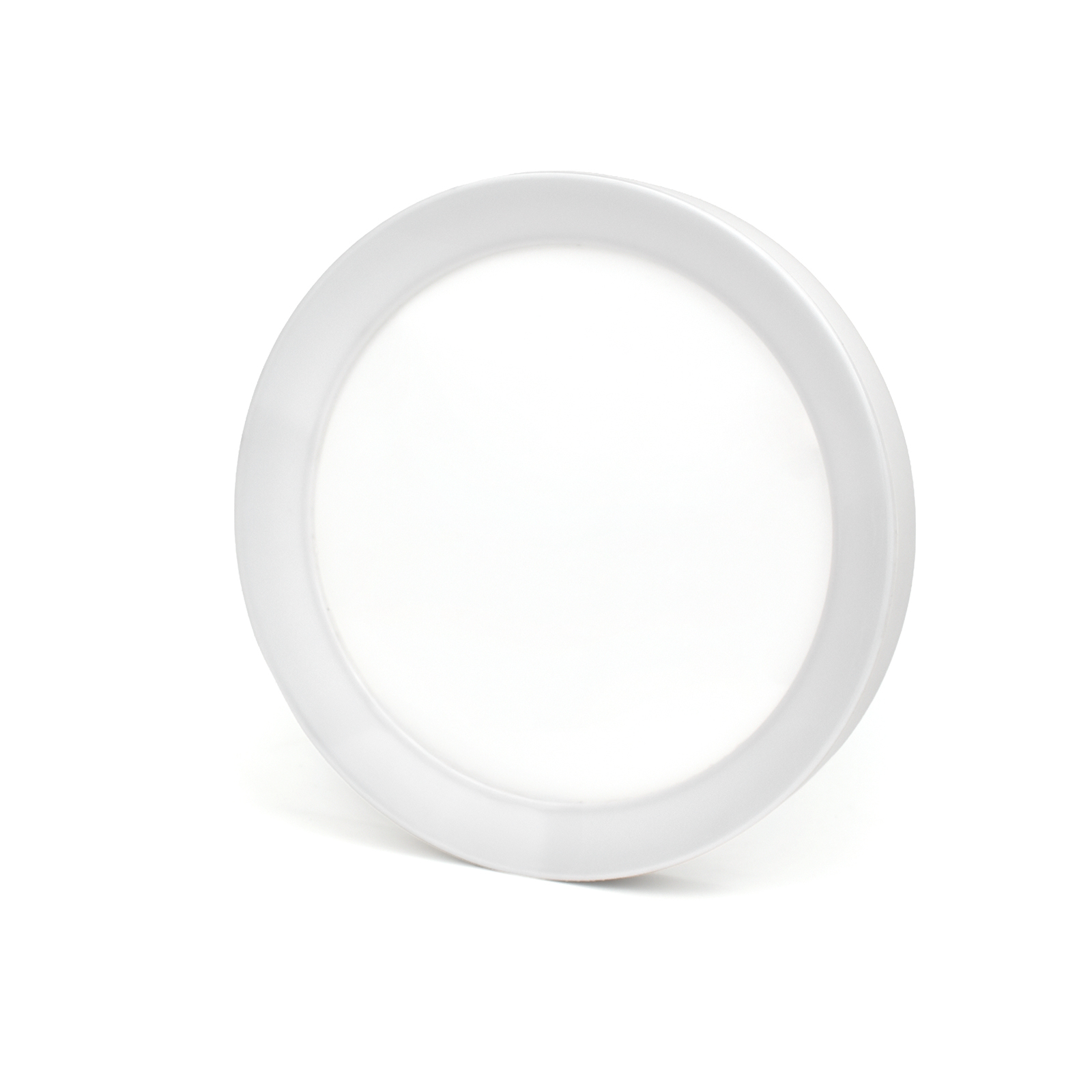 LED Flush Mount Ceiling Light with Night Light & Skylight