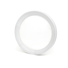 LED Flush Mount Ceiling Light with Night Light & Skylight