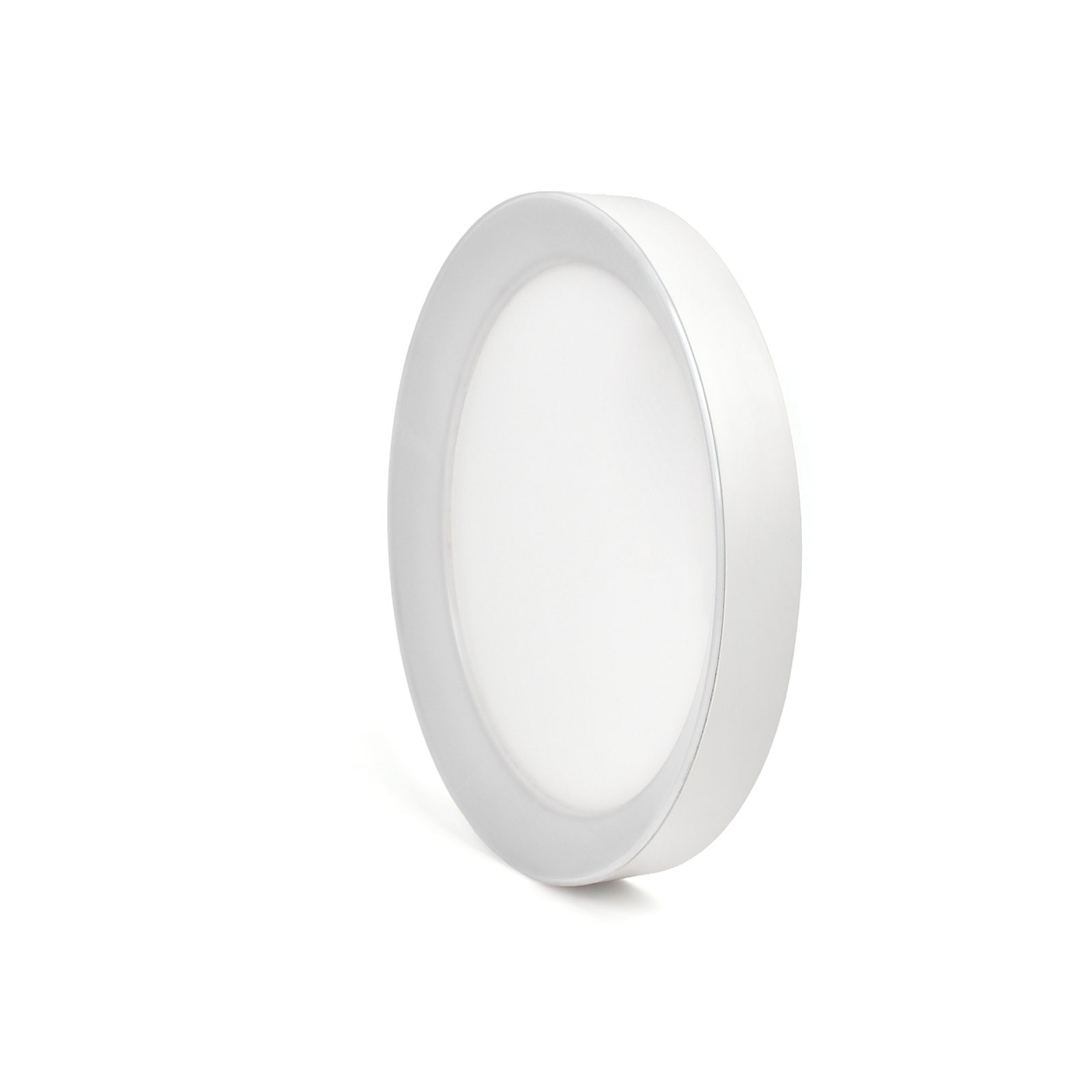 LED Flush Mount Ceiling Light with Night Light & Skylight