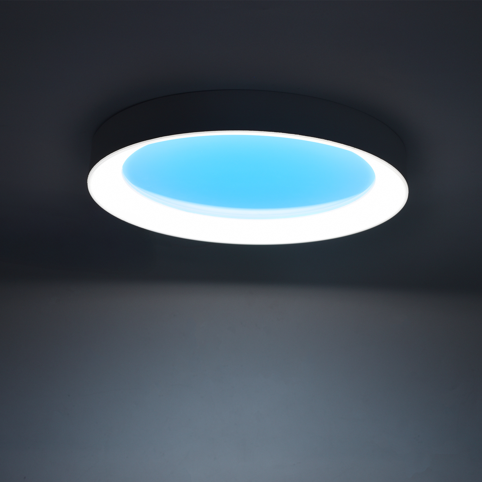 LED Flush Mount Ceiling Light with Night Light & Skylight