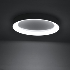LED Flush Mount Ceiling Light with Night Light & Skylight