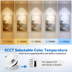 6 Inch Anti Glare COB Recessed Spot Light Supplier Factory