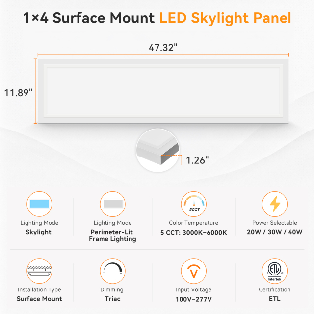 1x4 LED Surface Mount Panel Light with Skylight