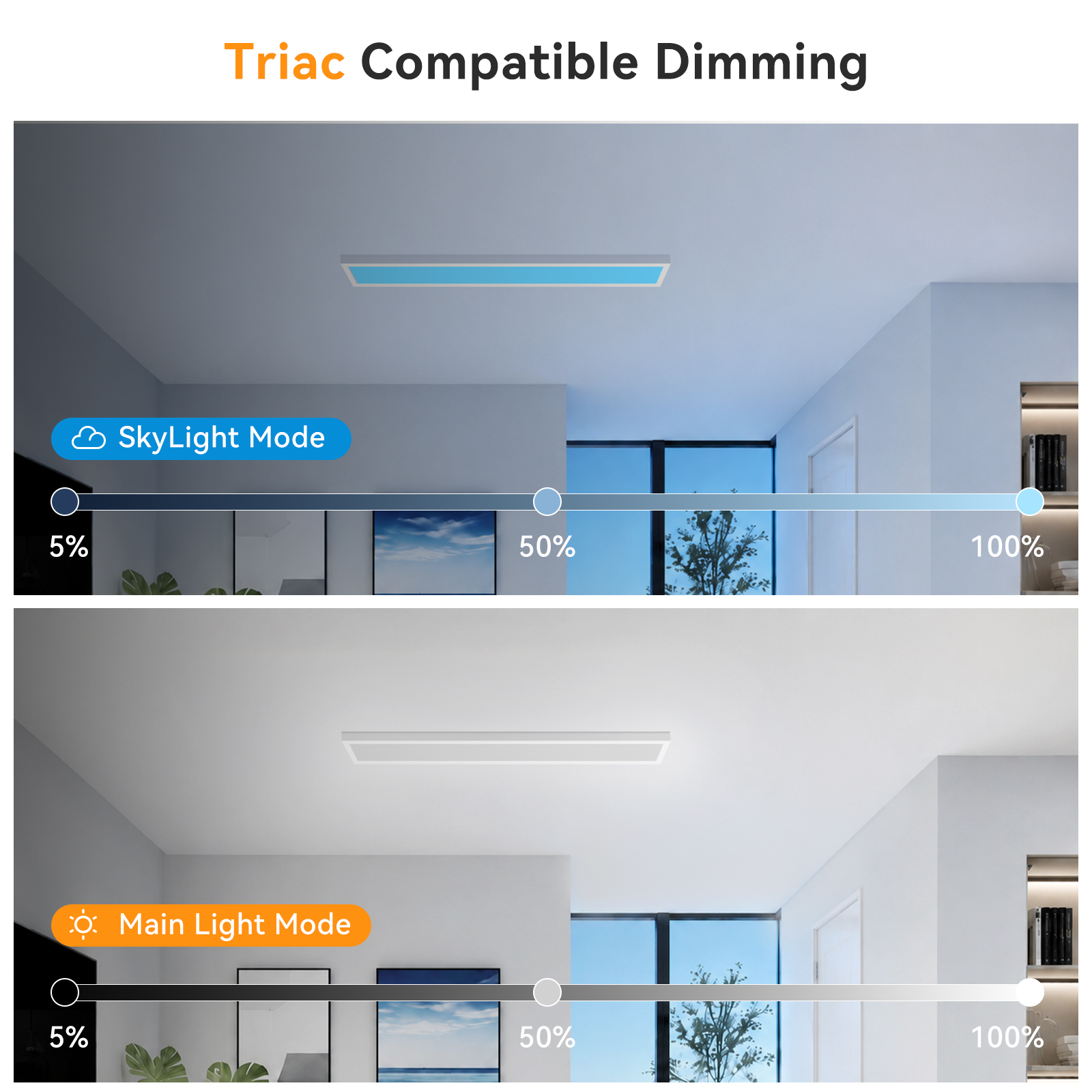 1x4 LED Surface Mount Panel Light with Skylight