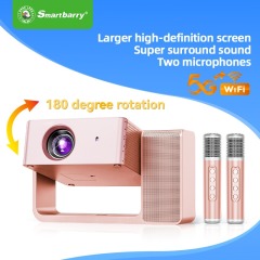 Projecteur karaoké portable familial haute définition à double tête HT30, Shenzhen Weihong Technology Co., Ltd., Projecteur portable familial HT30