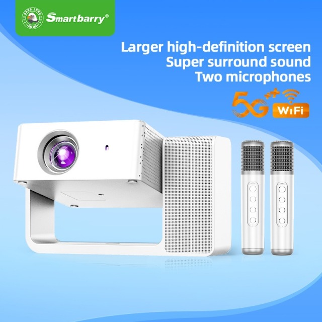 Projecteur karaoké portable familial haute définition à double tête HT30, Shenzhen Weihong Technology Co., Ltd., Projecteur portable familial HT30