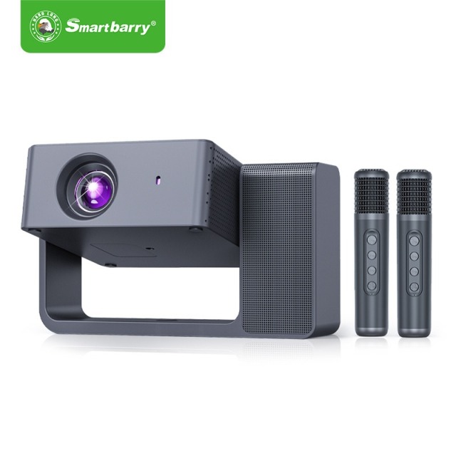 Projecteur karaoké portable familial haute définition à double tête HT30, Shenzhen Weihong Technology Co., Ltd., Projecteur portable familial HT30