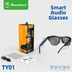 TY01 Smart Bluetooth Glasses,Shenzhen Weihong Technology Co., Ltd.,TY01 Smart Bluetooth Glasses