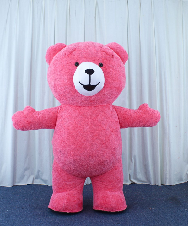 Hot Sale Custom Inflatable Pink Teddy Bear Mascot Costume Rental-Unisex Adult Bugs Theme Easter/Halloween Carnival Fancy Dress