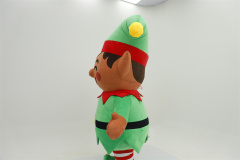 as image