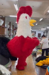 Pretty Chick Rooster Mascot Costume Outfit Walking Rooster for Adults Cosplay Inflatable Cloth 2.6m