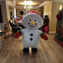 Christmas Snowman Adult Mascot Costume Custom Design Party Costume for Adults Happy Sky Easter/Halloween