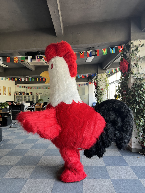 Unisex 2.6m Realistic Cock Costume Funny Inflatable Halloween Rooster Mascot Adults Cosplay Festivals Cartoon Animal Anime