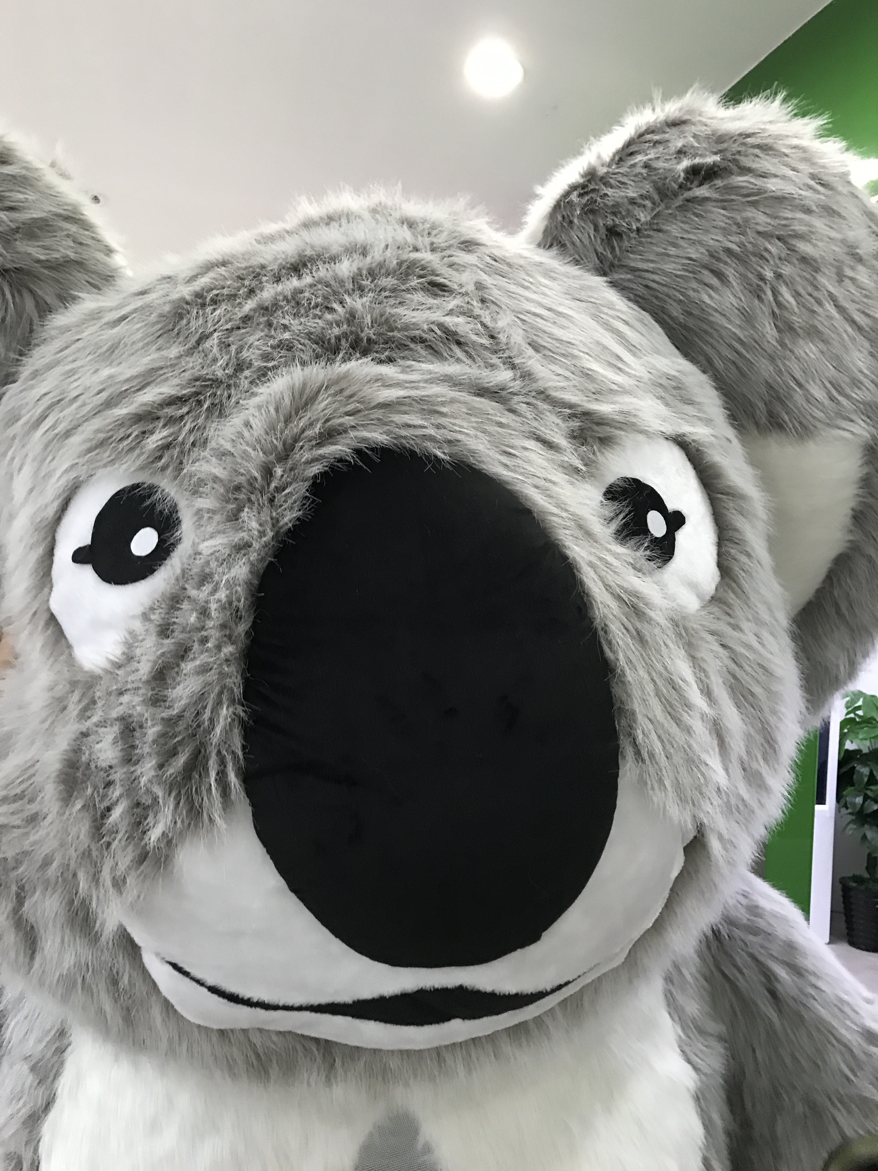 Internet Celebrity Inflatable Koala Doll Costume Koala Activity Show Doll Dress up in Inflatable Costume Bear