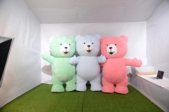 Hot!!! Customized Inflatable Dark Brown Teddy Mascot Costume Cartoon Character Plush Bear Mascot Costume for Adult Sale