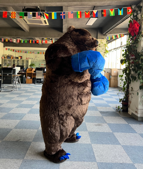 Advertising Saygo Animal Giant Boxing Brown Bear Inflatable Plush Mascot Costume for Adult Unisex Mardi Gras Party Cosplay Suits