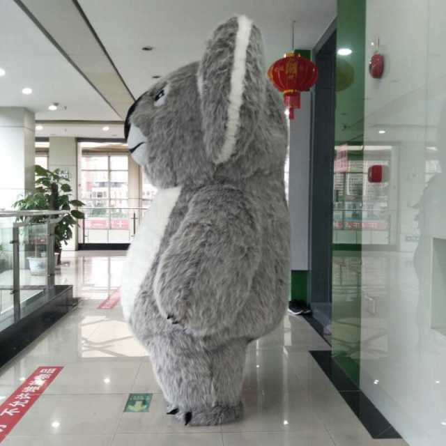 Internet Celebrity Inflatable Koala Doll Costume Koala Activity Show Doll Dress up in Inflatable Costume Bear