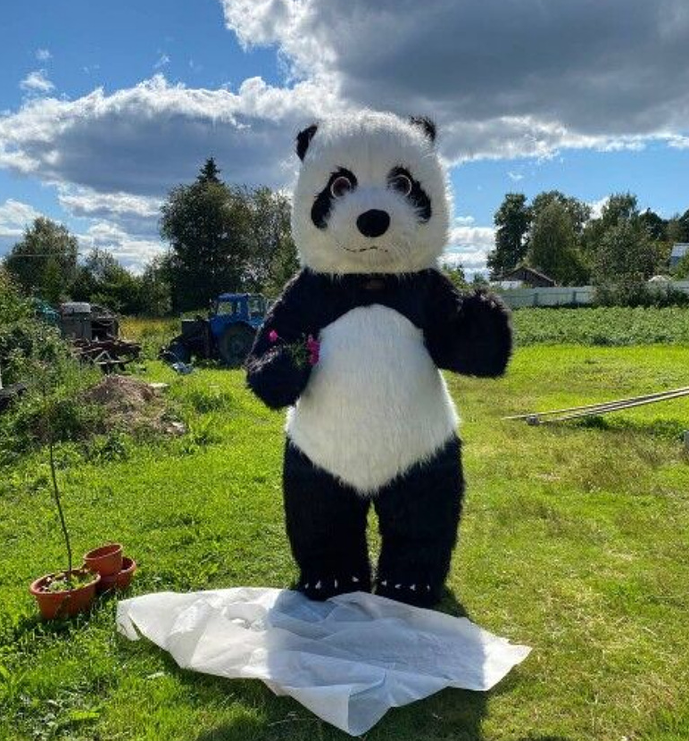 Saygo Long Plush 2m/2.6m/3m Inflatable Panda Mascot Costume Cartoon Character Cosplay Suit for Adults