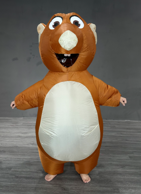 as picture