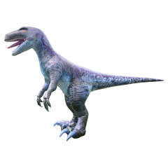 Inflatable PVC Gray Dragon Raptor T-Rex Costume-saygo Brand Mardi Gras Carnival Adult Unisex In-Stock Realistic Animal Mascot