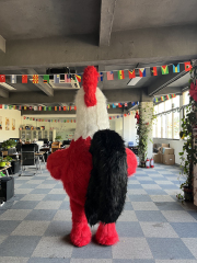 Unisex Adult Suit Animal Wholesale Popular Plush Walking Giant Inflatable Rooster Mascot Costume Cartoon Character for Sale