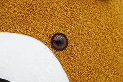 Brown Teddy Bear Inflatable Christmas Costume Cartoon Teddy Bear Moscot Costume for Men Gummy Bear Costumes for Advertising Events,Big Mascot,Brown Teddy Bear Inflatable Christmas Costume Cartoon Teddy Bear Moscot Costume for Men Gummy Bear Costumes for Advertising Events