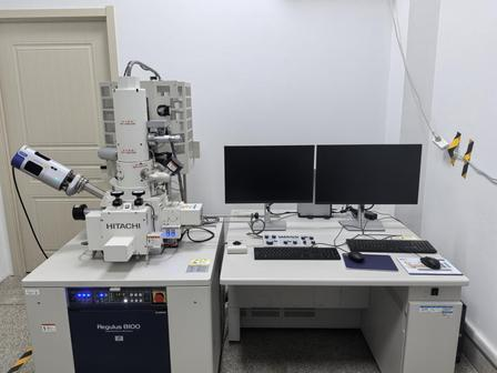 Visual Check: Cross-section,Suzhou Xingyao Microelectronics,Visual Check: Cross-section
