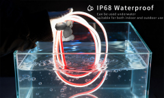 Wholesale 24V 8mm wide IP68 waterproof grade SMD2835 LED flexible silicone light strip, suitable for outdoor landscapes and home decoration, and can be freely cut.,murenled,Waterproof 24V LED Strip, for indoor & outdoor use.