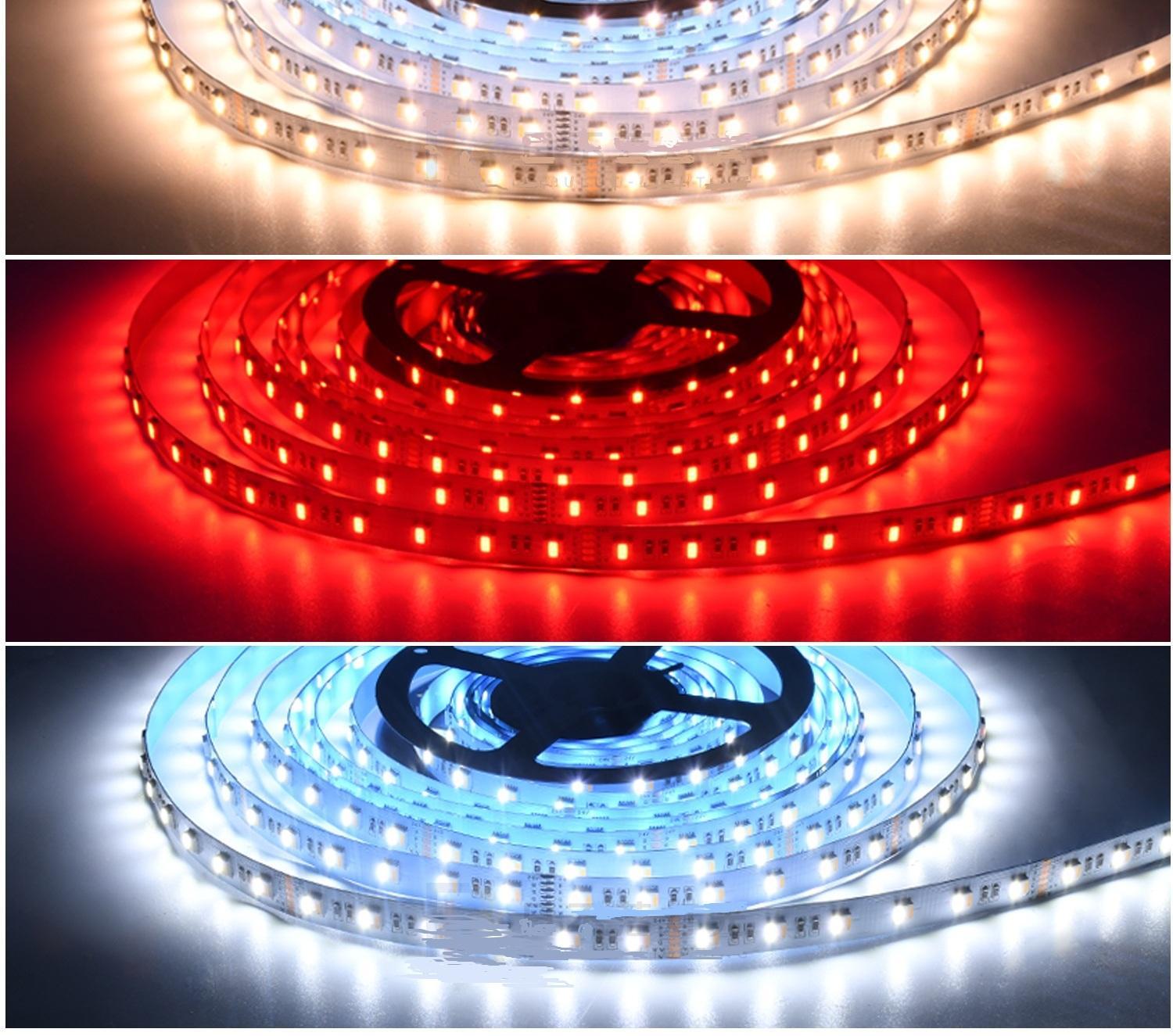 24V RGBWW 5050 LED Strip Lights - 5-in-1 Rainbow Chasing Effect, Wholesale Engineering Lighting,murenled,24V RGBWW 5-in-1 LED Strip, Wholesale