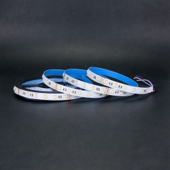 24V RGBWW 5050 LED Strip Lights - 5-in-1 Rainbow Chasing Effect, Wholesale Engineering Lighting,murenled,24V RGBWW 5-in-1 LED Strip, Wholesale