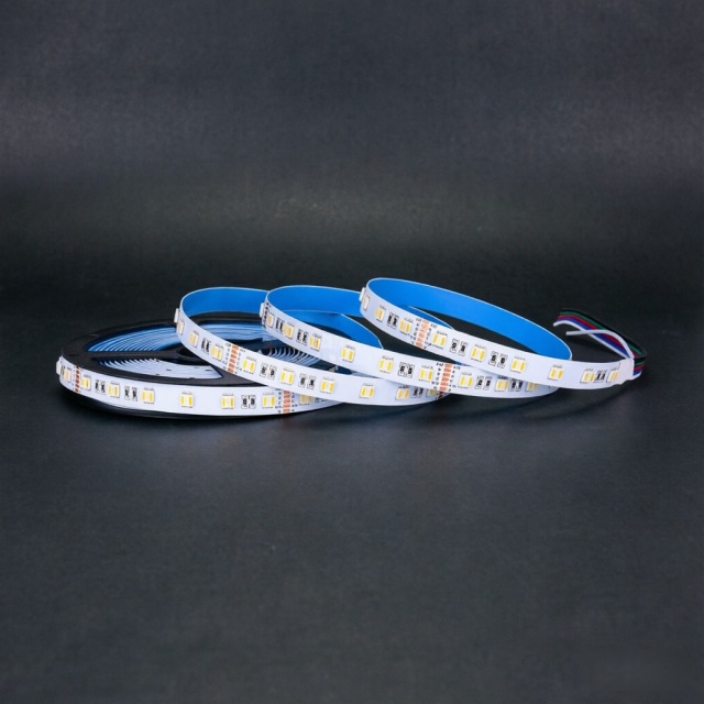 24V RGBWW 5050 LED Strip Lights - 5-in-1 Rainbow Chasing Effect, Wholesale Engineering Lighting,murenled,24V RGBWW 5-in-1 LED Strip, Wholesale