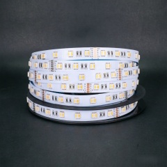 24V RGBWW 5050 LED Strip Lights - 5-in-1 Rainbow Chasing Effect, Wholesale Engineering Lighting,murenled,24V RGBWW 5-in-1 LED Strip, Wholesale