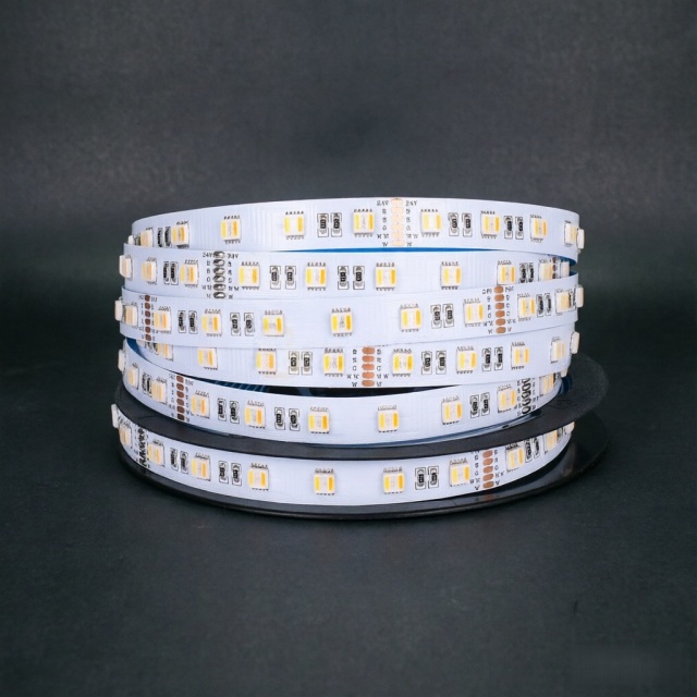 24V RGBWW 5050 LED Strip Lights - 5-in-1 Rainbow Chasing Effect, Wholesale Engineering Lighting,murenled,24V RGBWW 5-in-1 LED Strip, Wholesale