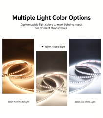 White Light 6000K