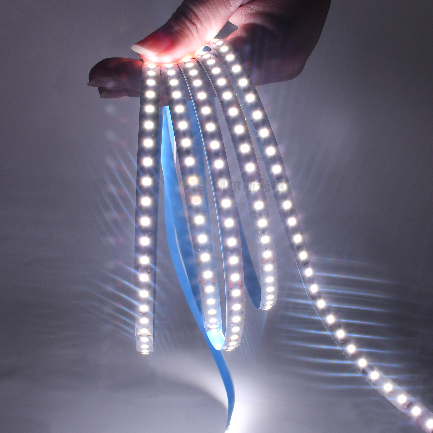 2835 SMD LED Strip Light | 120LEDs/m, 10W/m, DC12V/DC24V, FPC+Copper, Warm/Neutral/Cool White, WiFi/Bluetooth Smart Control,murenled,Flexible 2835 LED Strip 12V/24V Smart Control