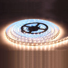24VDC Highest Density 5-in-1 5050 RGBWW (RGB+Warm White+Daylight) 112LEDs/m Bright RGBCCT LED Strip for  DIY Home Decoration,murenled,24V High Density 5050 RGBWW LED Strip 112LEDs/m DIY