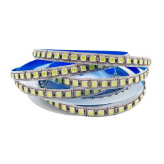 SMD 5050 single-color LED strip, 60/120 LEDs/m. DC12V/24V, uniform light. FPC, cuttable. Warm/Neutral/Cool White. Ideal for home & commercial high-brightness lighting.,murenled,5050 Mono LED Strip 60/120LED 12V/24V Wholesale